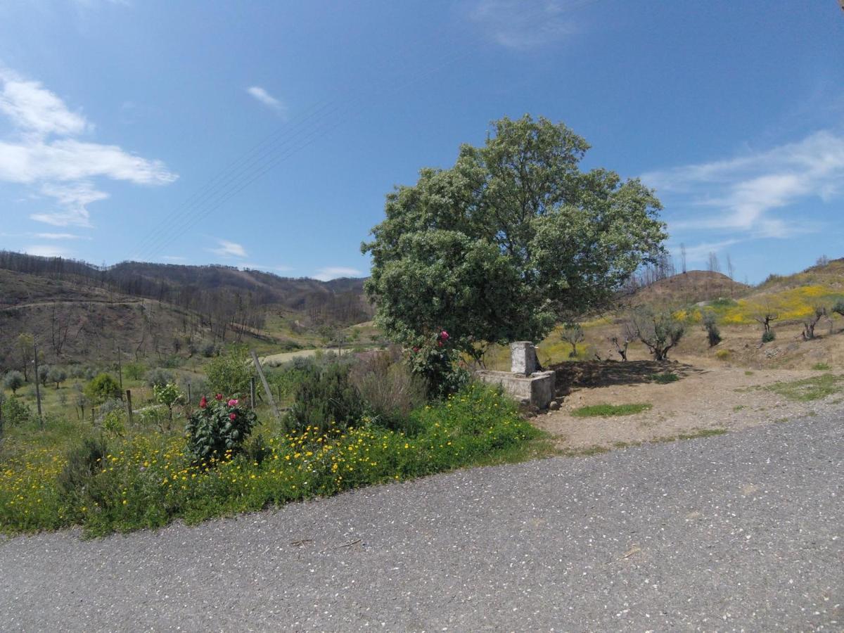 Pracana Cimeira Palheiros Da Ribeira旅馆 外观 照片